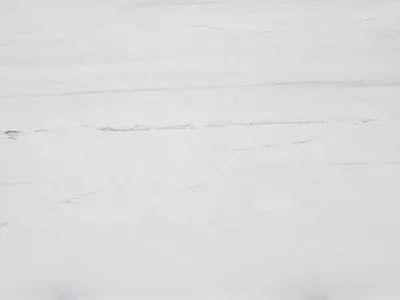 Pluto White natural stone slab — clean white with soft grey lines